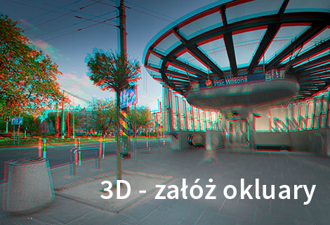 plac willsona 3D